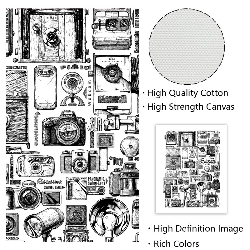 Vintage Camera Collection illu - Collectible Vintage Cameras 评论和价格